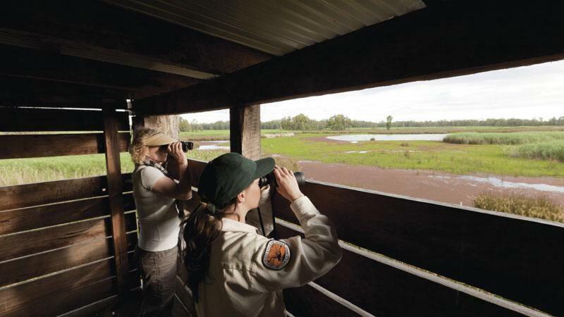 Lochinvar Safari Lodge Of Lochinvar National Park - Zambia Dış mekan fotoğraf